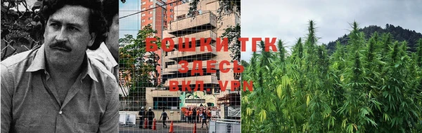 стаф Балахна