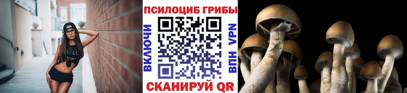 где купить Харовск Галлюциногенные грибы ЛСД